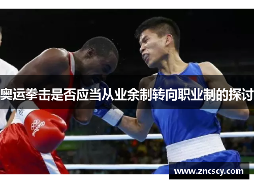 奥运拳击是否应当从业余制转向职业制的探讨 奥运拳击是否应当从业余制转向职业制的探讨