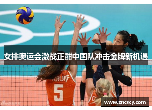 女排奥运会激战正酣中国队冲击金牌新机遇